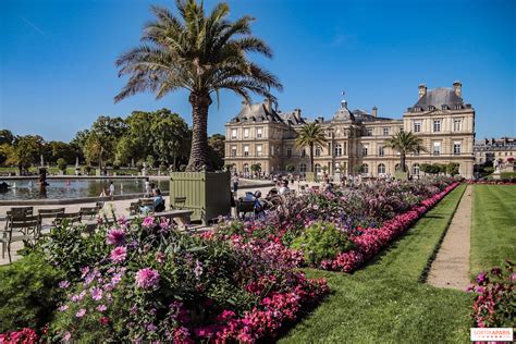  Jardiny Suspendowane w Jardin du Luxembourg – romantyczne oazy w sercu Paryża!