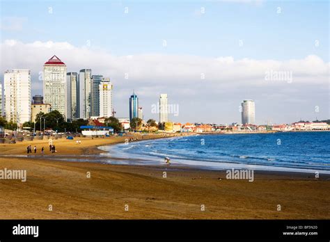 Piękna Złota Plaża - Oaza Relaksu i Rozrywki nad Morzem Bohai!