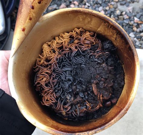 焼きそばの麺 ラーメン: 麺類の世界における無限の可能性