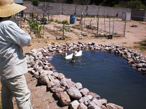 Granja Las Golondrinas? A Colorful Journey into Mexico's Past!