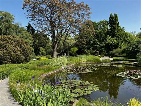  Ogród Botaniczny Obafemi Awolowo: Niebiańska Oaza Spokoju w Sercu Nigerii!