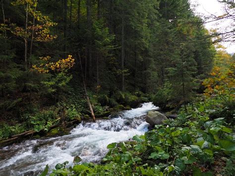 Park Arví: Oaza Spokoju i Natur W Sercu Antioqui