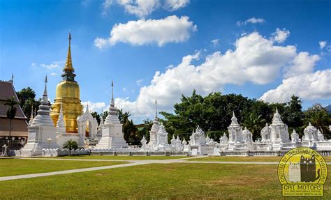  Wat Suan Dok: Zwiedzaj starożytne świątynie i podziwiaj majestatyczne drzewa figowe!