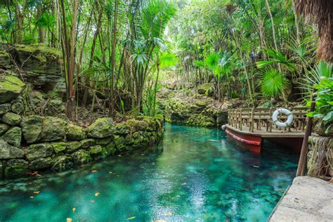 Xcaret - Park Archeologiczny i Ekologiczny: Przygoda na Styku Dawnej Cywilizacji i Nieziemskiej Piękna